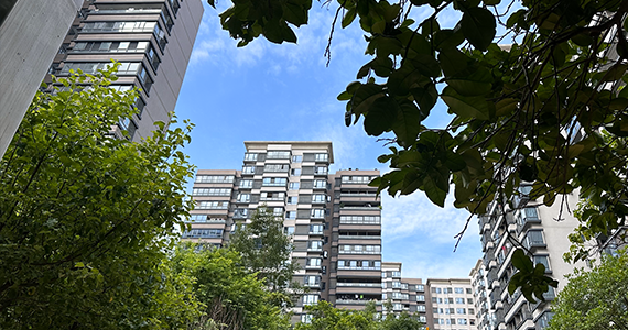 查询网址域名IP地址