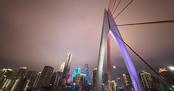 最新域名网站查询网址是多少啊