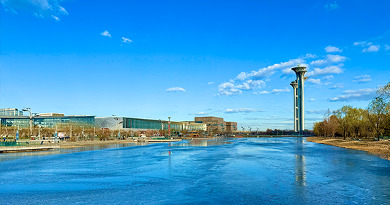 成都域名查询官网网址是什么