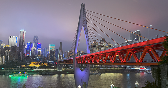 天津网站空间域名注册查询网址是什么