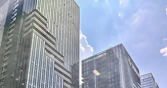 合肥市域名注册服务机构查询网址是什么