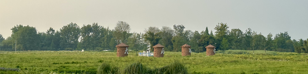 网址域名查询网